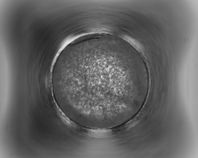 X0000085071200200703191254