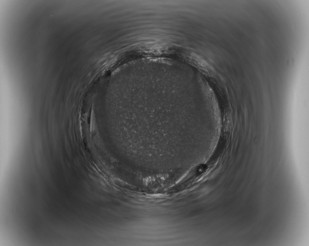 X0000085071202200703191253