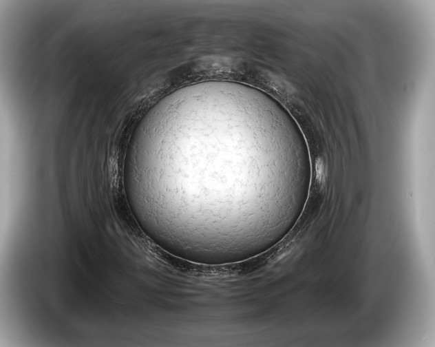 X0000085071203200703191253