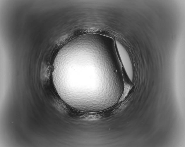 X0000085071204200703191253