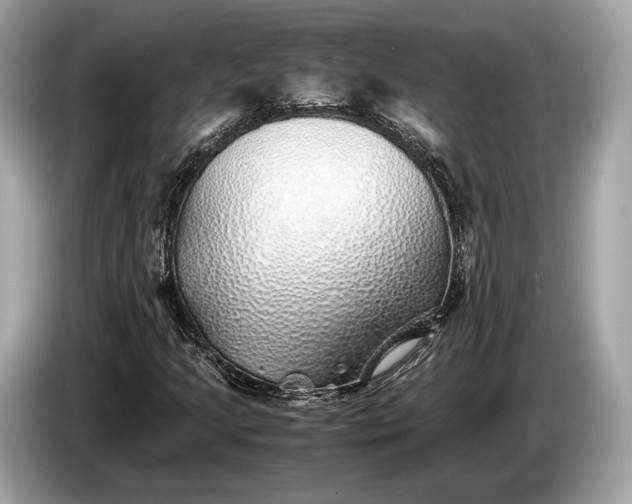 X0000085071205200703191254