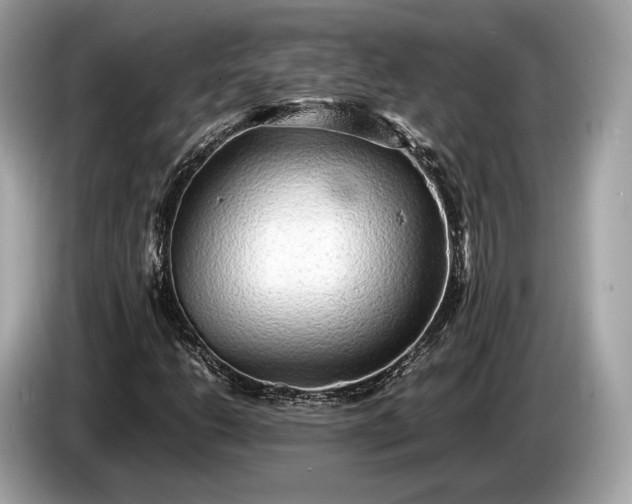 X0000085071206200703191254