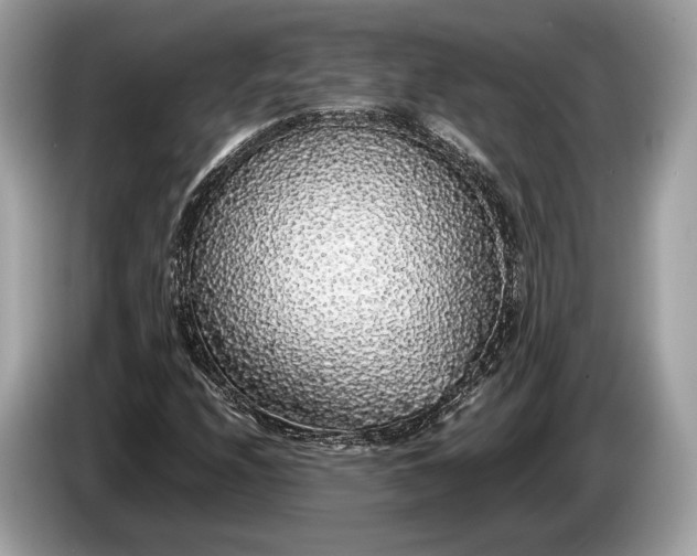 X0000085071208200703191254