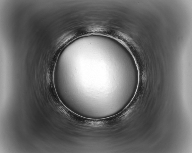 X0000085071209200703191254