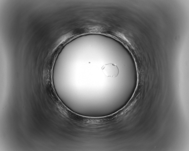 X0000085071211200703191254