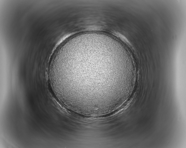 X0000085071212200703191254