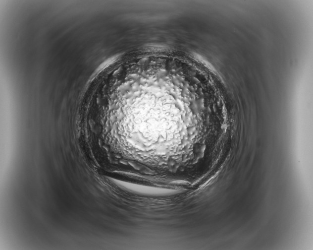 X0000085071213200703191254