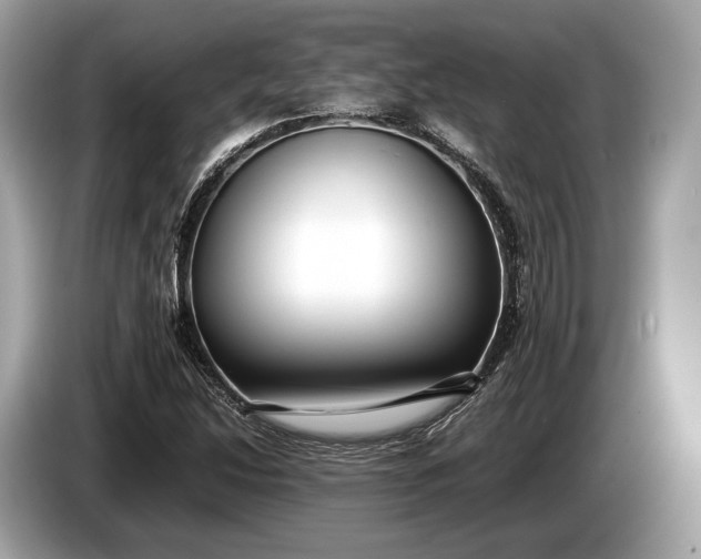 X0000085071214200703191254