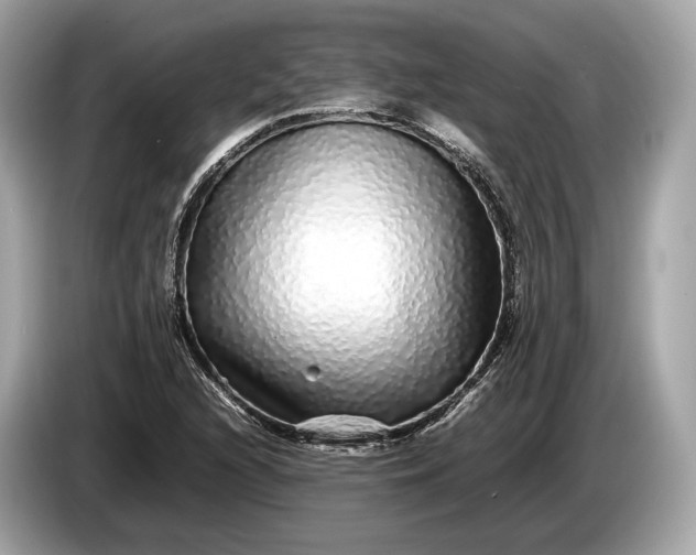 X0000085071216200703191254