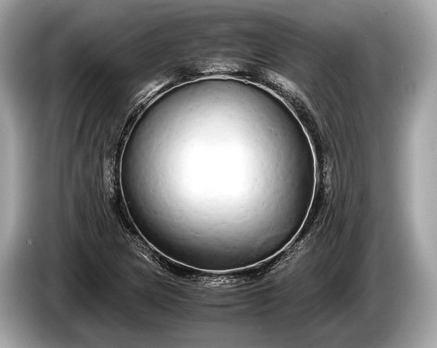 X0000085071217200703191254