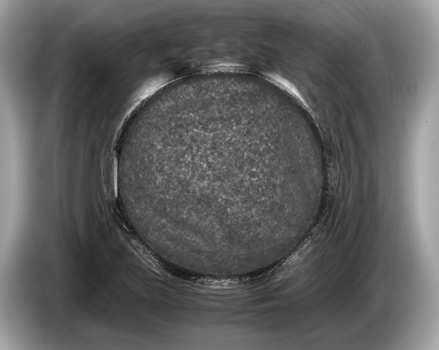 X0000085071219200703191254