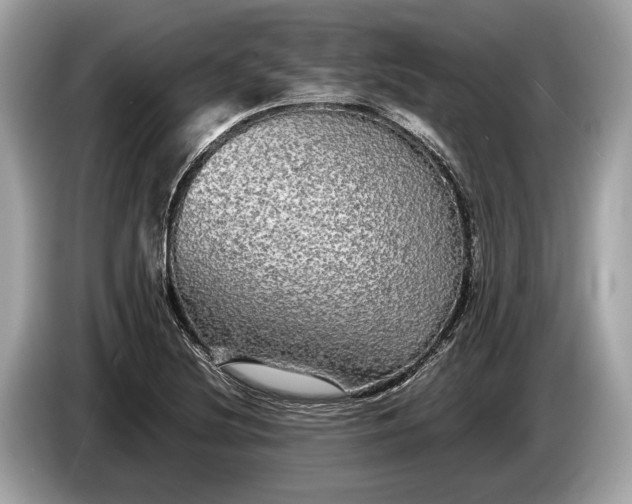 X0000085071220200703191254