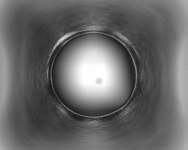 X0000085071222200703191254