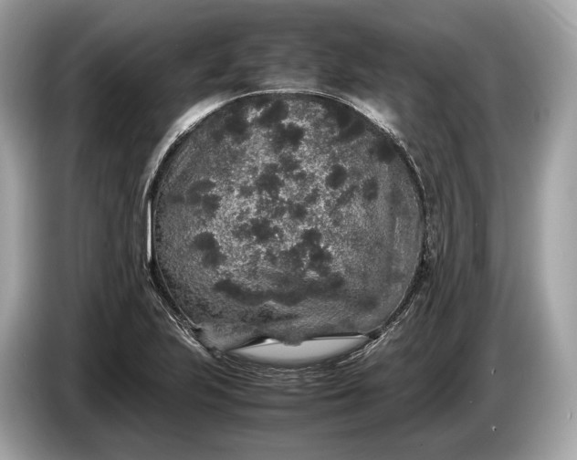 X0000085071223200703191254