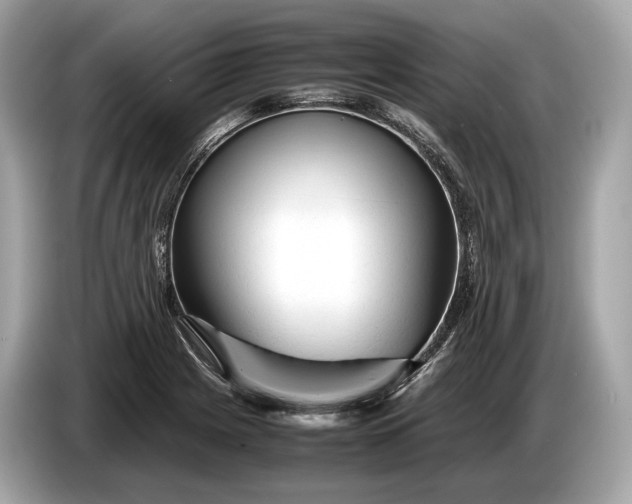 X0000085071225200703191254