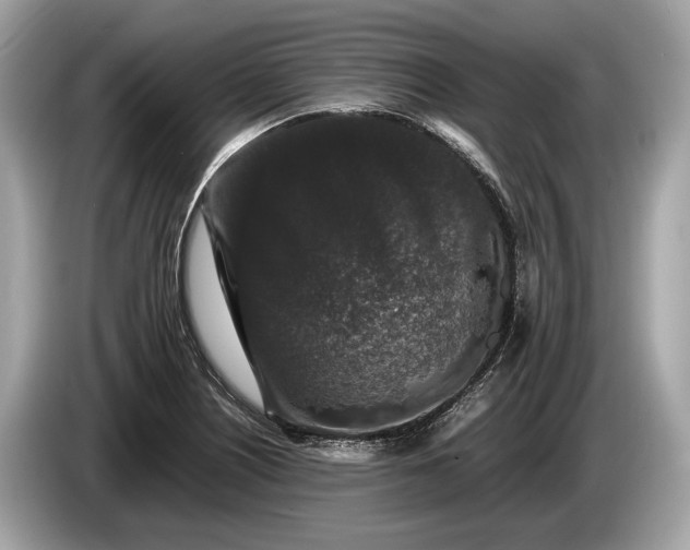 X0000085071226200703191254