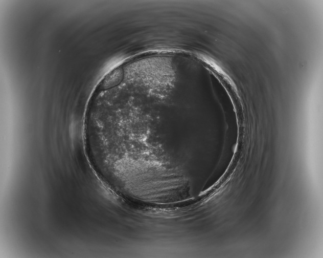 X0000085071229200703191254