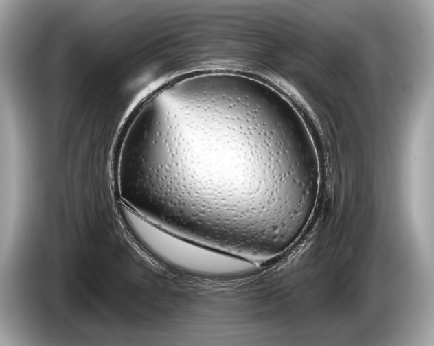 X0000085071230200703191254