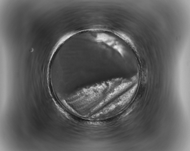 X0000085071231200703191254