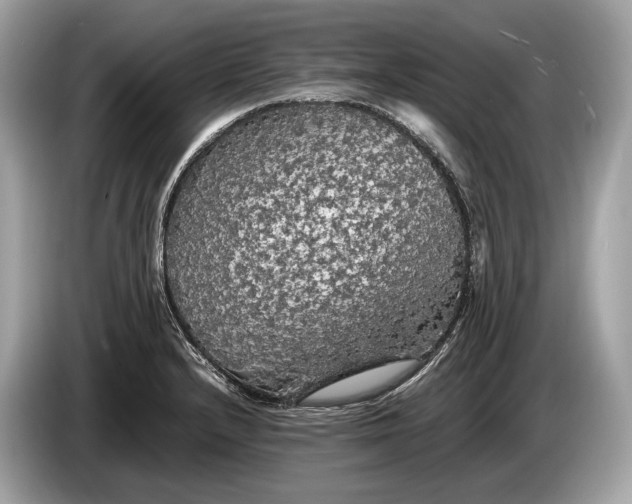 X0000085071232200703191254