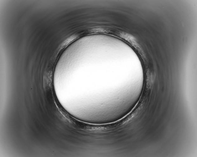 X0000085071233200703191254