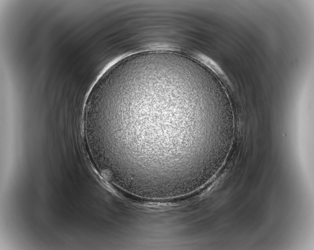 X0000085071236200703191254