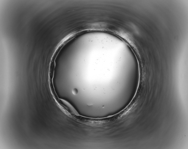 X0000085071237200703191254