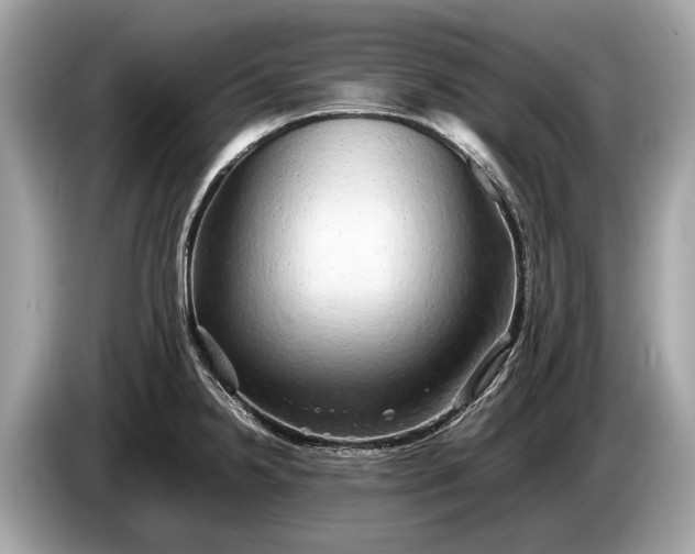 X0000085071238200703191254