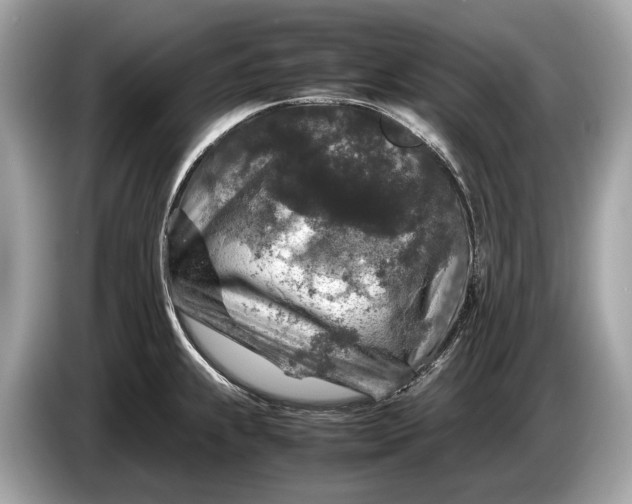 X0000085071239200703191254