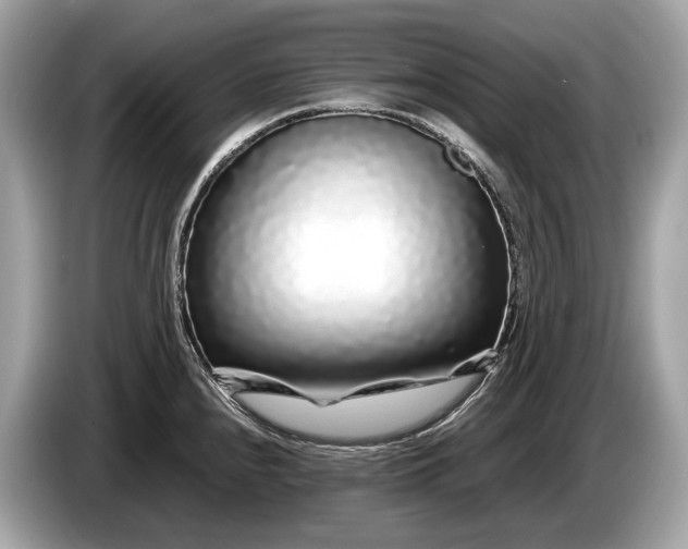 X0000085071240200703191254