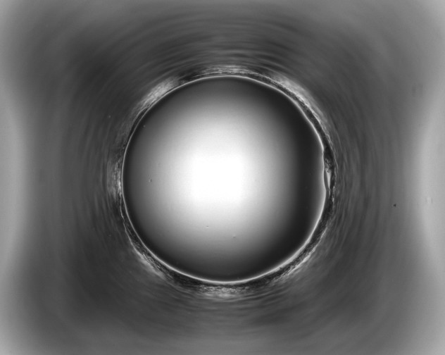 X0000085071241200703191254