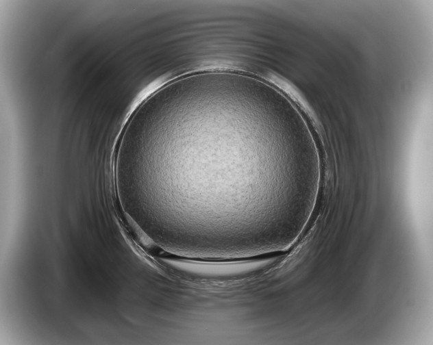 X0000085071242200703191254