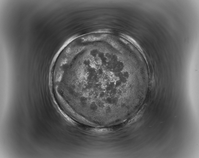 X0000085071243200703191254