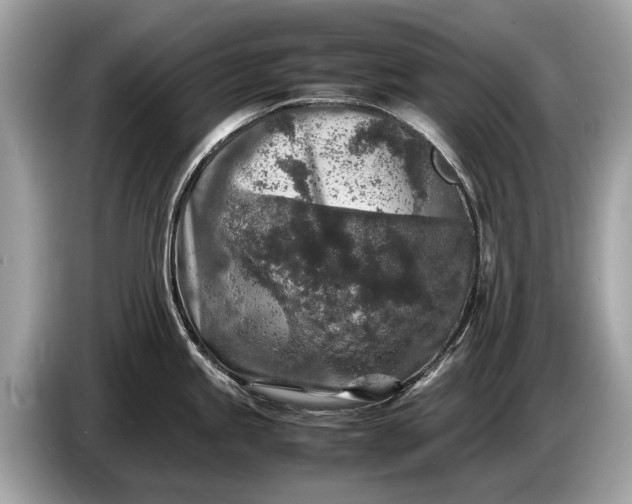 X0000085071245200703191254