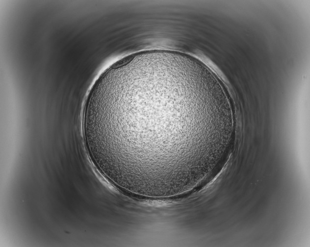 X0000085071246200703191254