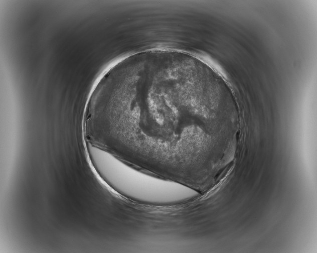 X0000085071247200703191254