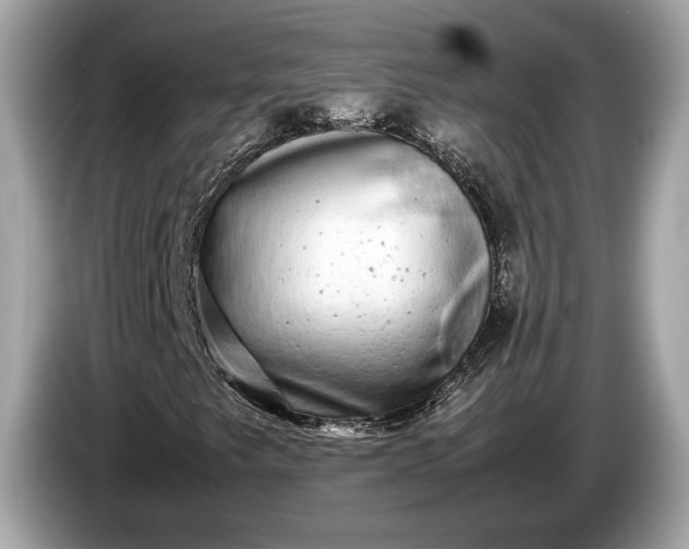 X0000085071249200703191253