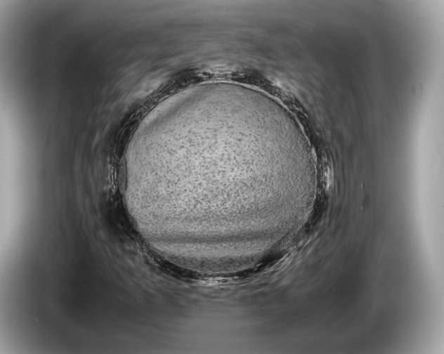 X0000085071253200703191253