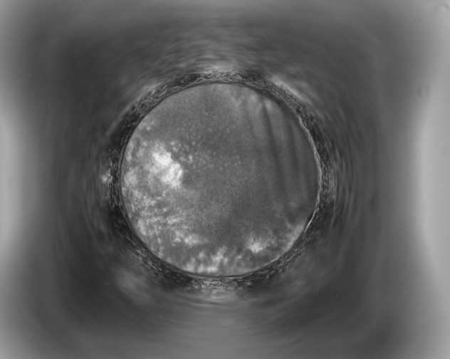 X0000085071254200703191253