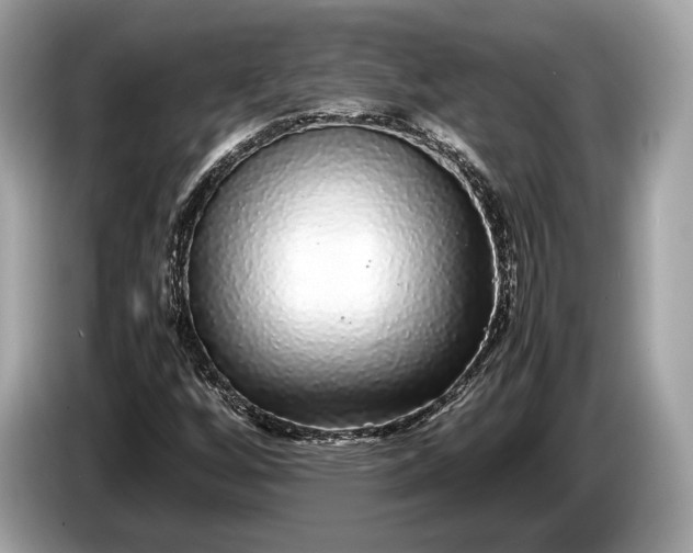 X0000085071256200703191253