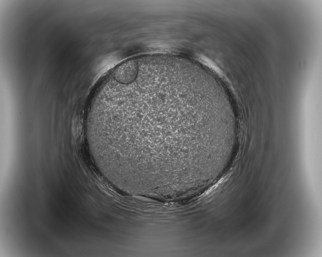 X0000085071259200703191253