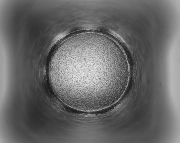 X0000085071261200703191253