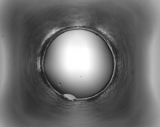 X0000085071262200703191253