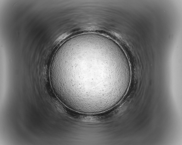 X0000085071265200703191253