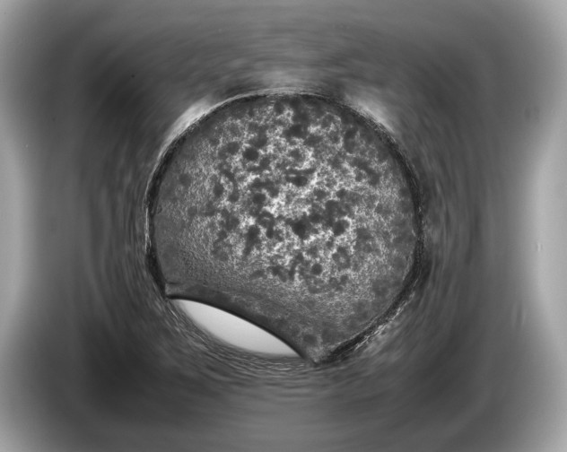 X0000085071267200703191253