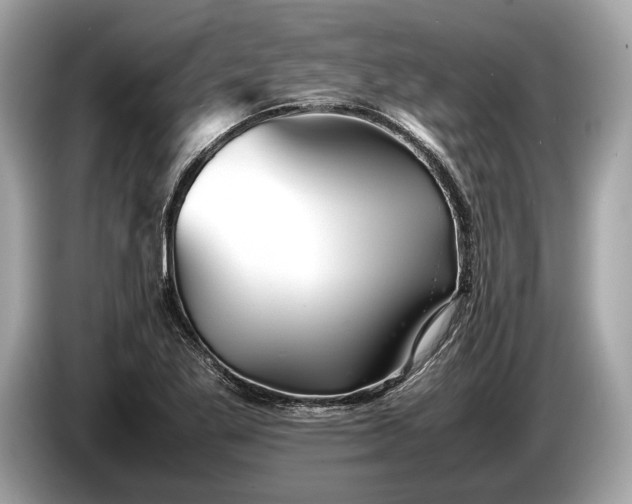 X0000085071269200703191253