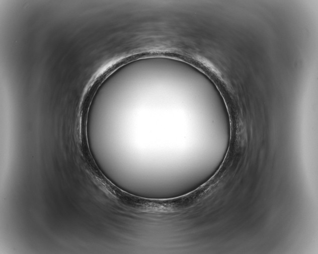 X0000085071270200703191253