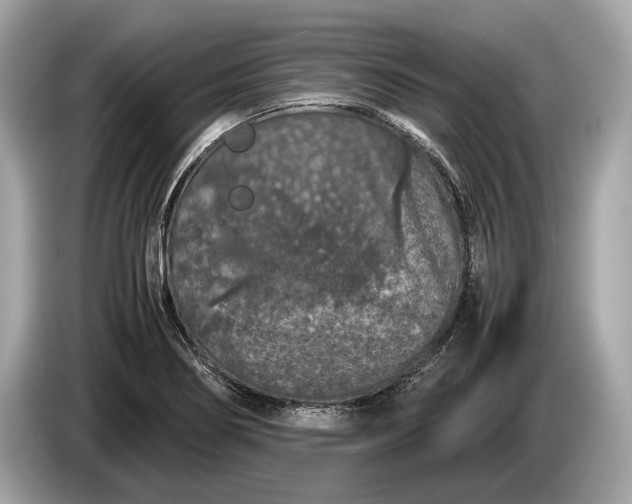 X0000085071274200703191253