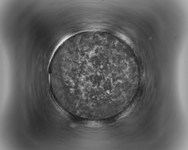 X0000085071275200703191253