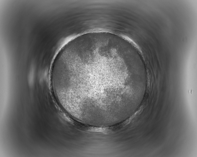 X0000085071278200703191253